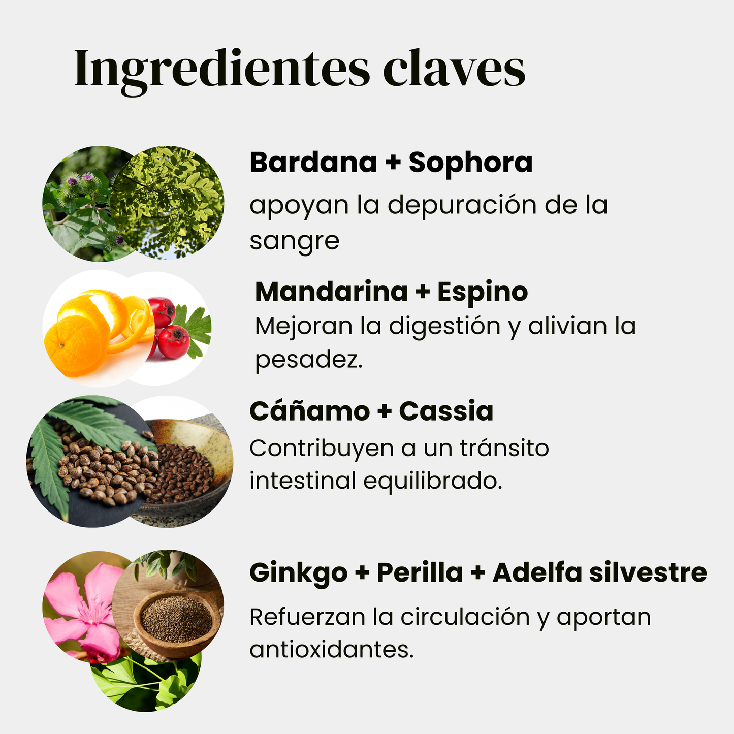 Blood Zen 🧘/ Ayuda a Regular tu Azúcar Naturalmente - Plan 16 días