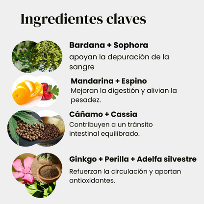 Blood Zen 🧘/ Ayuda a Regular tu Azúcar Naturalmente - Plan 16 días