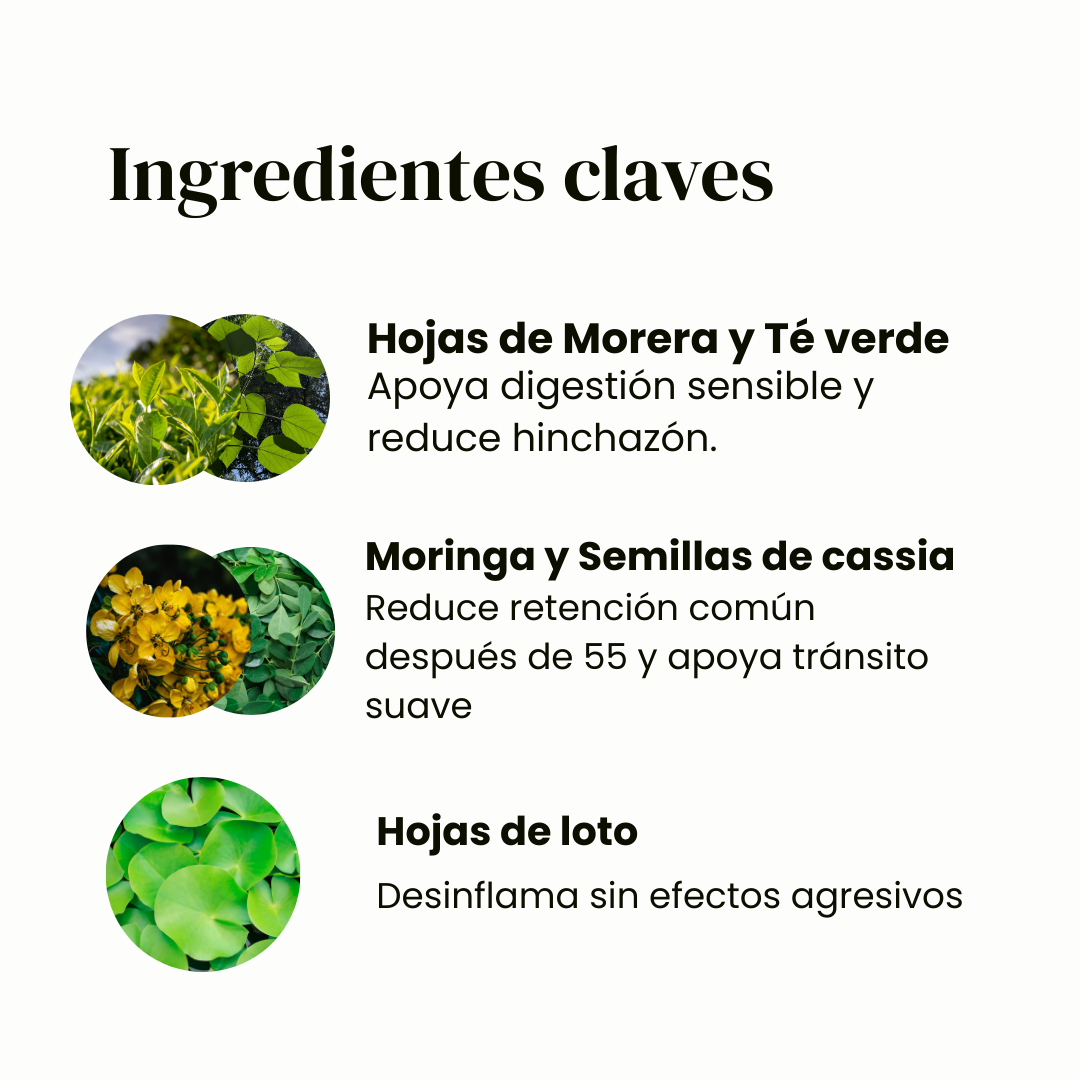 Natural Detox Para Mujeres 55+/ Desinflámate Sin Urgencias en 14 días ✨