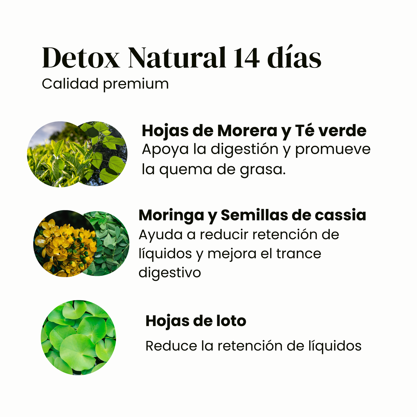 Natural Detox - Plan suave de 14 días✨